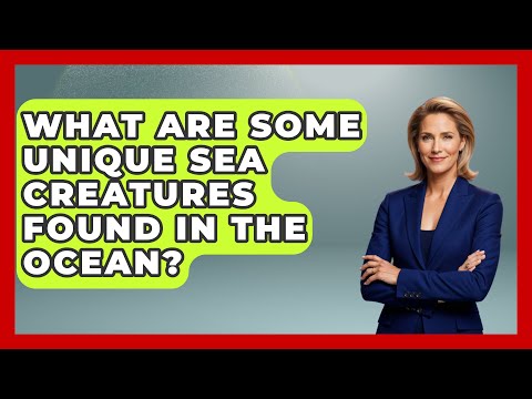 What Are Some Unique Sea Creatures Found in the Ocean? | The Marine Life Explorer