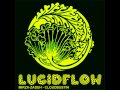 Lucidflow LF011 - Mirza-Zadeh - Don`t Mess With Ch