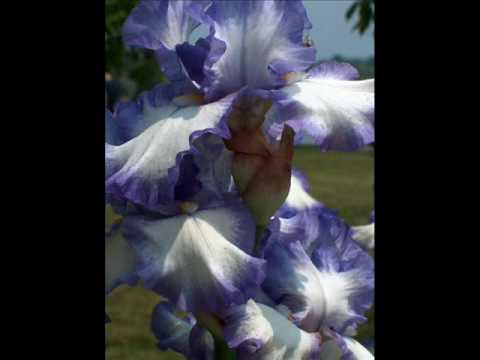 Matt Redman - Blessed Be Your Name