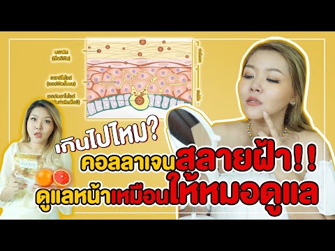 (เช็คสูตร) คอลลาเจนสลายฝ้า ดูแลหน้าเหมือนให้หมอดูแลคุณ เกินไปไหม?
