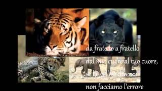Watch Franco Fasano Da Fratello A Fratello video