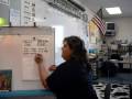 elementary teacher