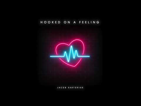 Hooked On A Feeling Video