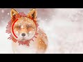 24/7 best chill hiphop to study to and relaxing
