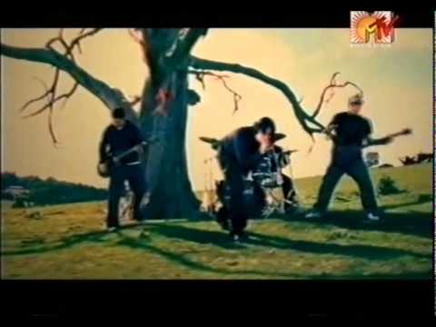 Everything Everyway Video