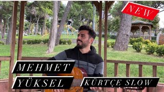 Mehmet Yüksel Bejna Te Naye Le Çawreşamın Yeni 2020