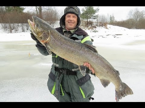 Зимние блесны на щуку своими руками видео Зимние блесны на щуку своими руками видео
