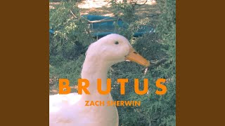 Watch Zach Sherwin Buddha Worm video