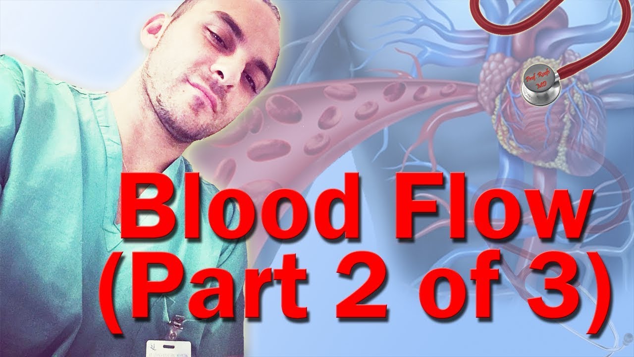 blood flow through the diagram step by step blood flow through the made easy part 2 of 3 blood flow through the diagram step by step blood flow through the made easy part 2 of 3