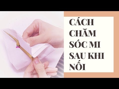 CÁCH NỐI MI | CÁCH CHĂM SÓC MI SAU KHI NỐI | DẠY NỐI MI HANI