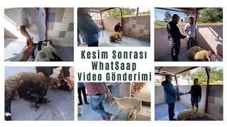 Kurbanlarınızı isterseniz Canlı yayında İsterseniz Video eşliğinde kesiyoruz