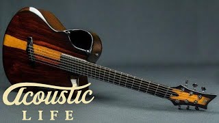 Emerald X20 Woody Cocobolo Guitar Review
