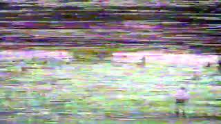7Sia6U7qyoE Video Image