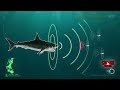 Megalodon Shark Week 2013 images Megalodon Shark Week 2013