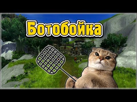 World of Warcraft.BFA. БГшки и Коть