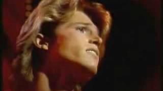 Watch Andy Gibb Our Love Dont Throw It All Away video
