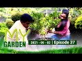 My Garden 02-05-2021