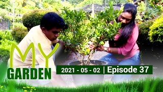 My Garden | Episode 37 | 02 - 05 - 2021