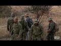 rhinos