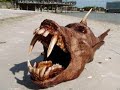 big animals and strange creatures