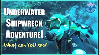 Underwater SHIPWRECK Adventure | What can YOU See? | Part 2 with Maddie and Greg