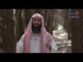 مشاهد