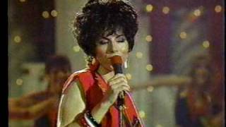 Watch Josie Cotton He Could Be The One video