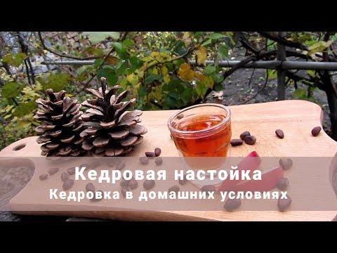 Как сделать кедровку в домашних условиях Как сделать кедровку в домашних условиях