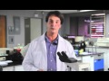 Jeunesse - Dr. Vincent Giampapa speaks on healthy youthful aging based on facts