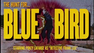 Pokey Lafarge - Bluebird