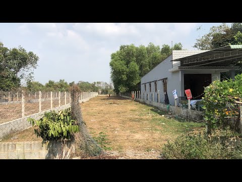 Bán đất 1299m (3,7 tỷ)đường nhựa gần Thị Trấn Củ Chi