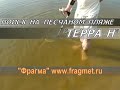 Металлоискатель селективный микропроцессорный Терра - 