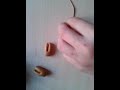 Scarpette da danza fimo