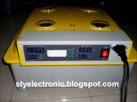 Egg Incubator Fully Automatic - For Sale