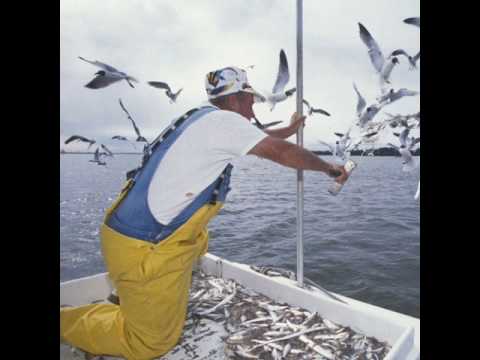 Gulf Coast Shrimp Fishermen