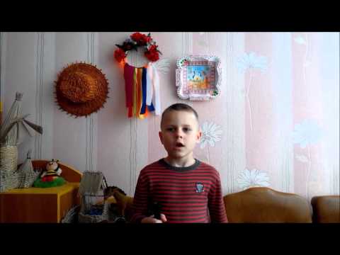 Україна   рідний край Коростишів ДНЗ7