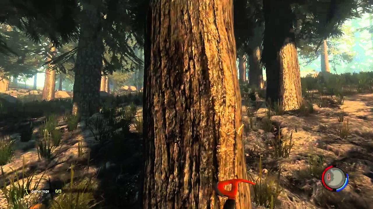 Где находятся сохранения в forest Где находятся сохранения в forest