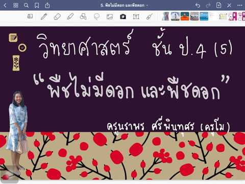 วิทย์ ป.4 (5) เรื่อง พืชไม่มีดอกและพืชดอก