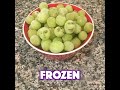 Frozen Grapes Song