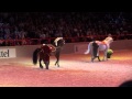Les 4 écoles d'art équestre à Bercy 2012 - Longues rênes. 4 Equestrian Art Schools - Long reins.