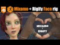 Blender: Mixamo Control rig + Rigify face rig