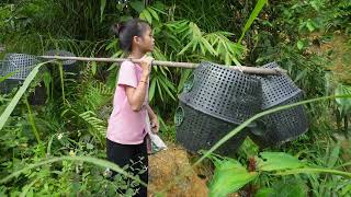Full Video: Poor Girl. Catch Fish Go To The Village Sell - Farming, Garden