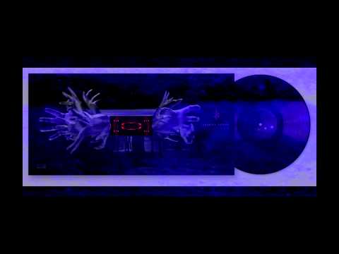 Point Video