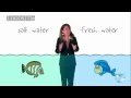 Biotic and Abiotic Factors in Ecosystems - Logos Academy download mp3 dan video Biotic and Abiotic Factors in Ecosystems - Logos Academy