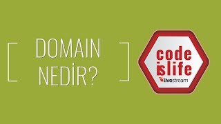 Domain Nedir?