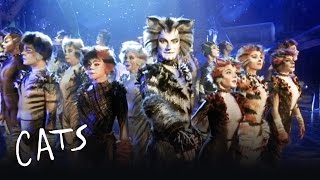 Watch Cats The Invitation To The Jellicle Ball video