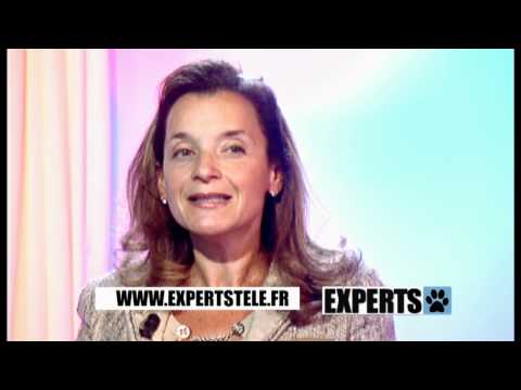 Hemorroide Externe Prolapsus – Cause Hemoroide Hemorroide Externe Prolapsus – Cause Hemoroide