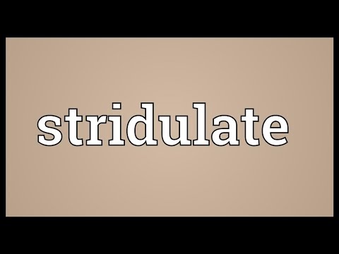 Header of stridulate