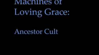 Watch Machines Of Loving Grace Ancestor Cult video