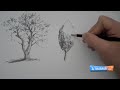 Draw